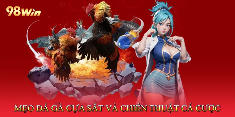 Đá Gà Cựa Sắt Tạo Cơ Hội Thắng Lớn Qua Trận Đấu Hấp Dẫn 4 Mẹo Đá Gà Cựa Sắt và Chiến Thuật Cá Cược